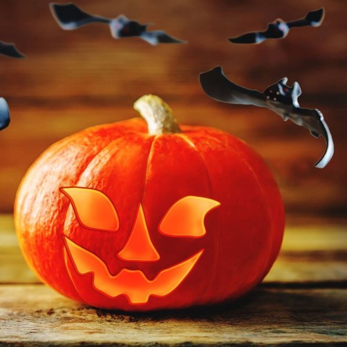 [Free Module] Prestashop Art Pipistrelli per Halloween