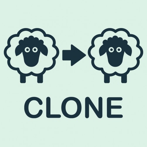 Creazione copia Clone per sviluppo del tuo Ecommerce in